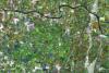 Radar image of land use in the Po Basin, Italy, acquired on 14 December 2012.