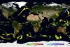 Global precipitation map (Image: NASA's Goddard Space Flight Center)