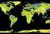 Global Digital Elevation Model produced by ASTER (Image: NASA)