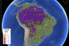 Forest cover in South America viewed on the Geo-Wiki platform (Image: IIASA/Geo-Wiki/Google Earth)