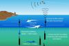 Argo 10-day ocean observation cycle (Image: Argo). 