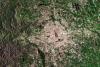 Beijing from the Sentinel-1A satellite. Image: Copernicus Data/ESA (2014).    
