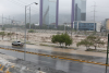 Inundations caused by Hurricane Alex in 2010 in Mexico. Image courtesy of Flickr website