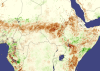 Regional Support Offices: SDI-Africa Newsletter for June available