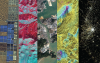Online courses: Earth Observation for Sustainable Development: Harnessing the Power of Chinese Satellites