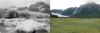 Pedersen Glacier 1917 and 2005