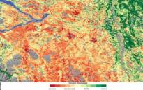 Relying on a variety of data sources, including observations by NASA’s Moderate Resolution Imaging Spectroradiometer (MODIS), Jon Ranson and Paul Montesano of NASA’s Goddard Space Flight Center conducted a survey of insect-damaged forests in British Columbia. This image shows their assessment of insect damage overlain on a topography map. In this image, red indicates the most severe damage, and green indicates no damage. Gray indicates non-forested areas. Image: NASA map by Robert Simmon.