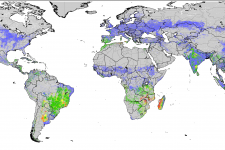 Agricultural Stress Index (FAO)