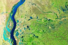 False-colour image of flooding in the Sudanese states of White Nile and Blue Nile captured by Landsat 8. Image: NASA.