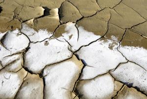 Desertification affects 80 percent of arable land in Iraq
