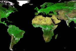 First image of vegetation mapping satellite Proba 5