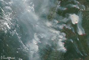  Intense heat wave in central Russia
