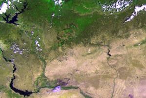 Satellites, such as ESA's Proba-V, can monitor vegetation intactness from space.