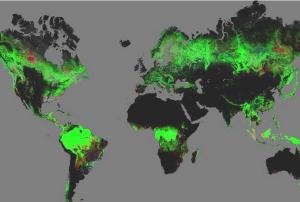 First map of forest change that is globally consistent and locally relevant