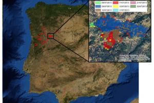 2013 fire season in Portugal will be remembered as one of the worst since 1940