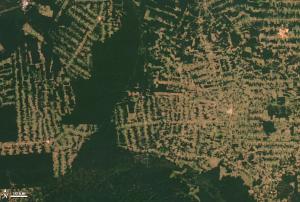 Satellite image of deforestation in Brazil
