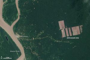 Deforestation in Peru detected by Landsat 8 in August 2013.