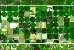 Satellite picture crop seeds
