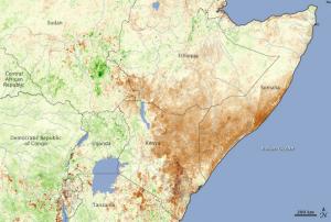 Vegetation map of Eastern Africa during the severe drought of 2011