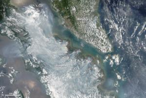 Fires in Sumatra, Indonesia in March 2014 seen from Space.