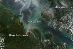 154  forest and land fires across Riau province on 20 July. 