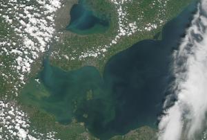 Algal bloom in the west end of Lake Erie captured by MODIS