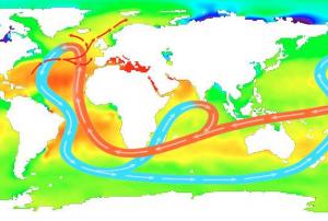 Sea-surface salinity and ocean circulation