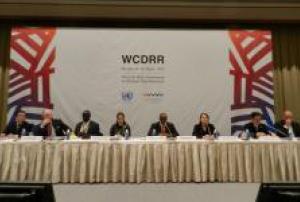 Panel of the WCDRR working session on early warning