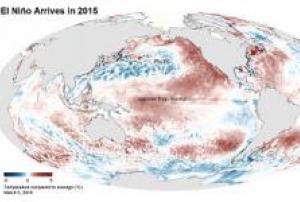 Average sea surface temperature due to El Niño 2015 (Image: NOAA)