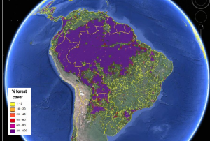 Forest cover in South America viewed on the Geo-Wiki platform (Image: IIASA/Geo-Wiki/Google Earth)