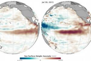 Comparison between sea level increase in 1997 and 2015 at the Eastern Pacific (Source: NASA)