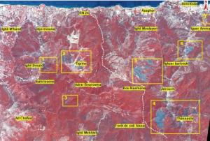 Image of the areas affected by forest fires captured by Alsat-2A (Image: ASAL
