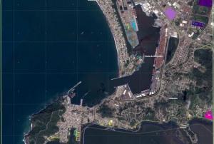 Puerto De Manzanillo: Grading Map (Source: Copernicus Emergency Manage Service)