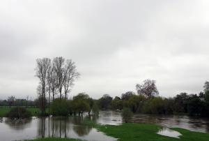 River Thames by Wallingford, Oxfordshire flooded
