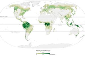 Credit: ESA. Above ground biomass 2020