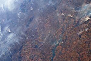 Fires in the Amazon as seen from Space. Image: ESA/NASA–L. Parmitano.
