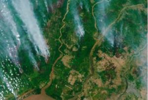 The Copernicus Sentinel-2 mission captured the fires over Borneo on 13 September 2019. Image: Copernicus