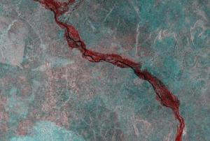 Mapping floods in Nigeria using Sentinel-1 satellite images (Image: International Water Institute).