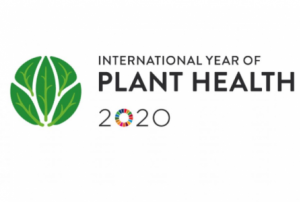 International Plant Health Conference "Protecting Plant Health in a changing world" logo. Image: FAO
