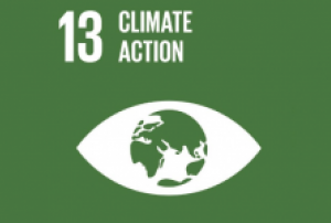 SDG13 logo. Image: UN.