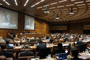 55th session of the Scientific and Technical Subcommittee. Photo: UNOOSA.