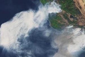 Forest fires. Image: ESA.