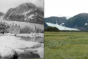 Pedersen Glacier 1917 and 2005