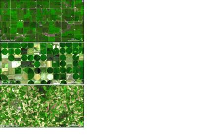 Satellite picture crop seeds