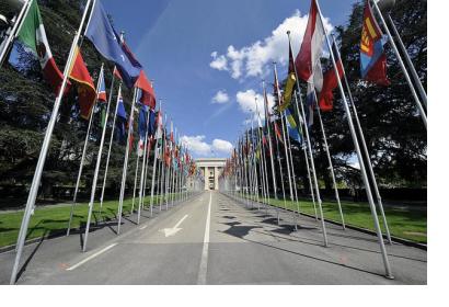 Member States delegations convened in Geneva