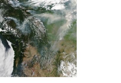 The image captured by MODIS shows dozens of wildfires in Canada 