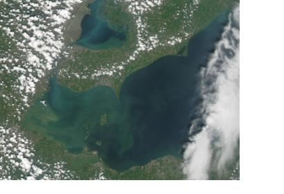 Algal bloom in the west end of Lake Erie captured by MODIS