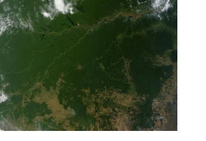 Satellite image of the Amazon