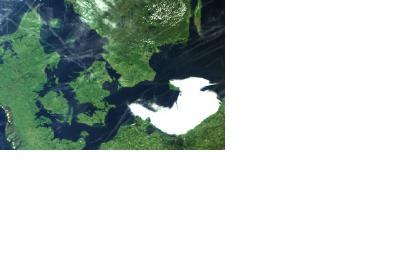 MERIS image of Denmark, on 1 June 2003.