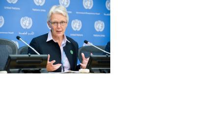 UNISDR head Wahlström urges world leaders to take action on disaster risk reduction